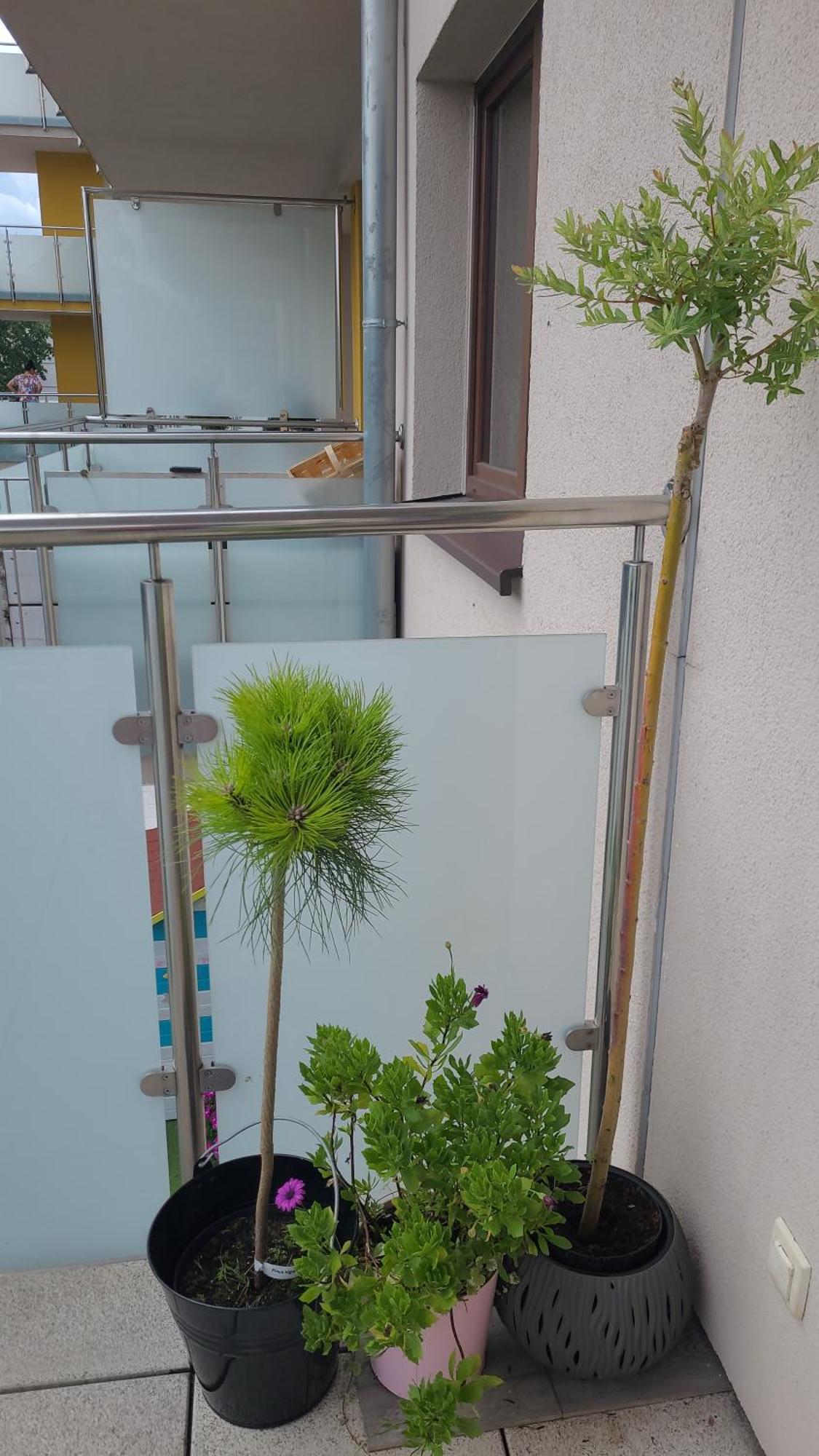 Apartament Lilla Jelenia Gora Dış mekan fotoğraf